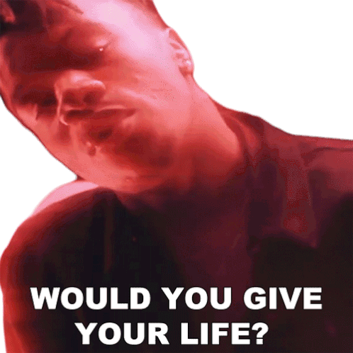 Would You Give Your Life Palm Paradise Sticker - Would You Give Your Life Palm Paradise Higher Song Stickers