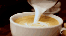 coffee latte espresso milk drinks