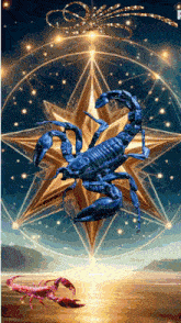 a blue scorpion is standing in front of a star