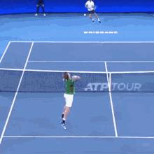 kevin anderson tennis overhead smash fail