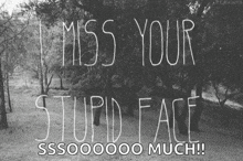 Miss You GIF - Miss You I Miss Your Stupid Face GIFs