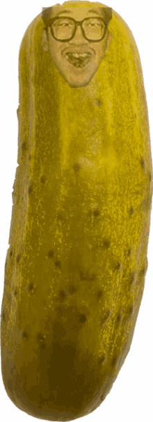 cooksux pickle