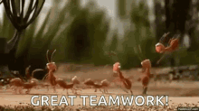 great team work ants forming rolling
