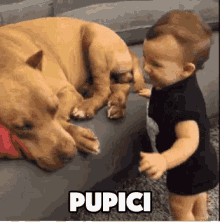 Pupici GIF - Baby Kissing Dog Puppy Kisses Dog Kisses GIFs