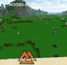 Noobs Are Gonna Cry Noob GIF - Noobs Are Gonna Cry Noob Your Mom Is Gonna Die GIFs
