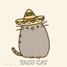 Taco Cat GIFs | Tenor