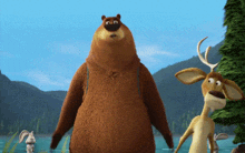 Boog Bear GIF - Boog Bear Speech GIFs