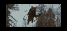 Wolf Insanely Possible To Be The First GIF - Wolf Insanely Possible To Be The First GIFs