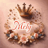 the name mely is surrounded by flowers and stars