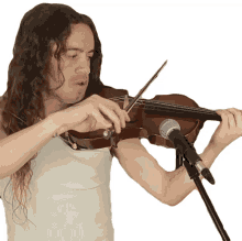 playing violin bradley hall performing playing an instrument