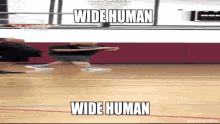 Wide Human GIF - Wide Human GIFs