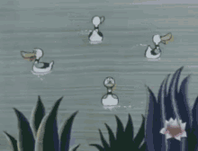 Duck Duckling GIF - Duck Duckling Roast GIFs