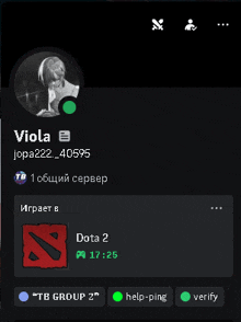 a screen shot of a person 's profile with a dota 2 logo