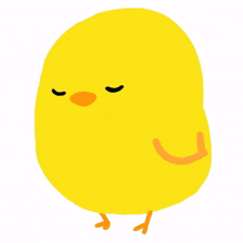 bird cute animal yellow comfortable