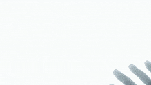 Whitebeard Shirohige GIF