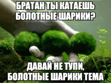 a hand holding a bunch of green balls with russian writing