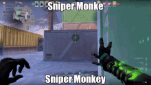 Sniper Monkey GIF - Sniper Monkey Valorant GIFs