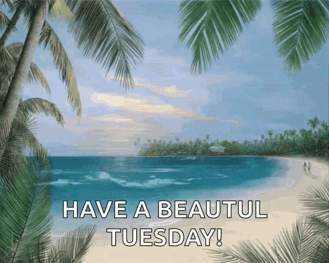 Beach Have A Beautiful Tuesday GIF - Beach Have A Beautiful Tuesday - Discover & Share GIFs