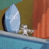 Igcse Cambridge GIF