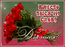 a bunch of red roses on a pink and green background with the words bmecto