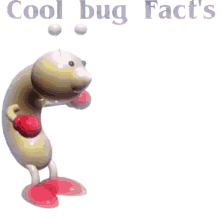 Bug Facts GIF - Bug Facts GIFs