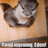 Good Morning Eden GIF - Good Morning Morning Eden GIFs