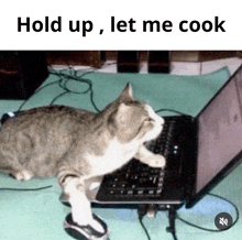 Let Me Cook GIF - Let Me Cook GIFs