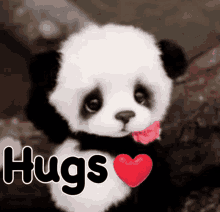 Hugs Cute GIF - Hugs Cute Panda GIFs