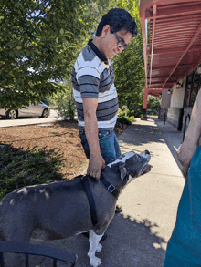 a man standing next to a dog that is wearing a black harness