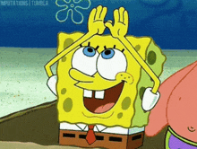 Robland GIF