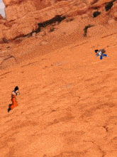 a cartoon of goku and vegeta are fighting in the desert