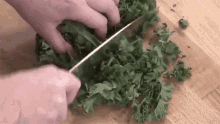 Choppin Kale GIF - Chopping Kale Knife GIFs
