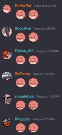 a screenshot of a conversation between puffer pat boopkiwi and falcon_mc