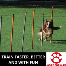 Dog More For Max GIF - Dog More For Max Train Faster Better And With Fun GIFs