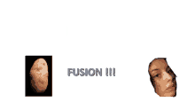 malo fusion