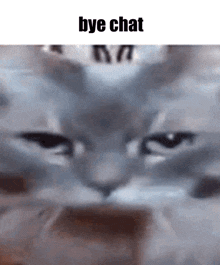 Bye Chat Cat GIF - Bye Chat Bye Cat GIFs