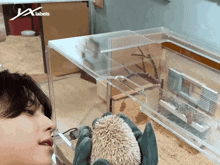a person holding a hedgehog in front of a x labels advertisement