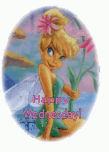 Tinker Bell Happy Wednesday GIF - Tinker Bell Happy Wednesday Fairy GIFs