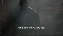 Gotg Drax The Destroyer GIF - Gotg Drax The Destroyer You Know Who I Am GIFs