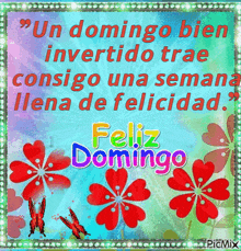 a greeting card that says feliz domingo with red flowers