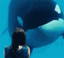 Whale Nodding GIF
