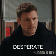 Desperate Charlie Hudson GIF - Desperate Charlie Hudson Hudson And Rex GIFs