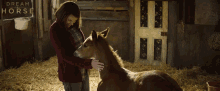 petting foal jan vokes toni collette dream horse baby horse