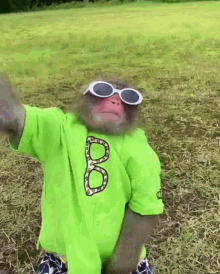 a monkey wearing sunglasses and a green shirt with the letter b on it .