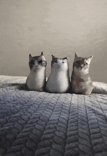 three stuffed cats are sitting next to each other on a bed