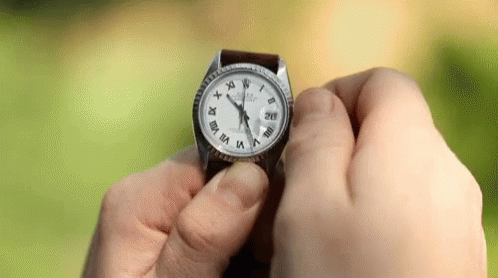 watch-watchdial.gif