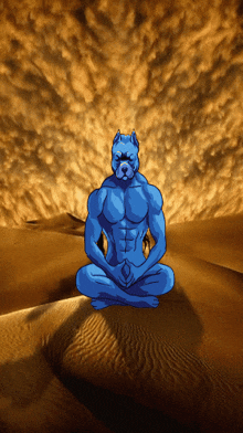 a blue dog is meditating in the desert