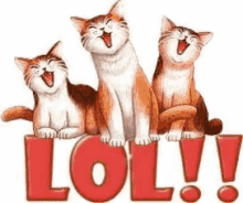 lol chats cats chat cat