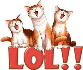 Lol Chats Sticker - LOL Chats Cats - Discover & Share GIFs