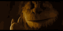 Where The Wild Things Are Wtwta GIF